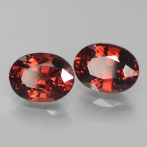 自然派の商品を探す 3.52ct ダークレッド パイロープガーネット 宝石, オーバルカット, モザンビーグ からGemSelectで. 在庫あり、世界各国へ発送!