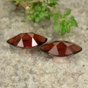 Shop natural 2.54ct メルローレッド パイロープガーネット gems, マーキーズ, from モザンビーグ at GemSelect. In stock, global shipping!