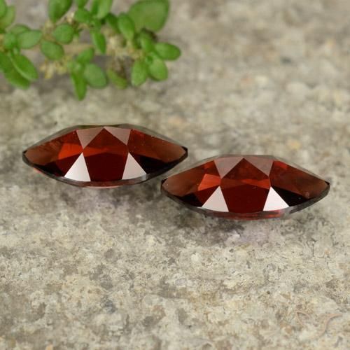 Shop natural 2.82ct ディープレッド パイロープガーネット gems, マーキーズ, from モザンビーグ at GemSelect. In stock, global shipping!