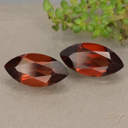 Shop natural 2.58ct 濃いブラッドレッド パイロープガーネット gems, マーキーズ, from モザンビーグ at GemSelect. In stock, global shipping!