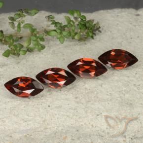 Shop natural 4.35ct ディープレッド パイロープガーネット gems, マーキーズ, from モザンビーグ at GemSelect. In stock, global shipping!