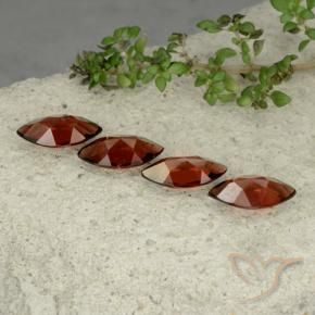 Shop natural 4.64ct ミディアムレッド パイロープガーネット gems, マーキーズ, from モザンビーグ at GemSelect. In stock, global shipping!