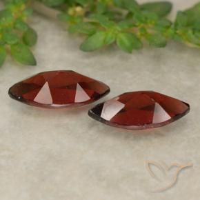 Shop natural 2.63ct 濃いブラッドレッド パイロープガーネット gems, マーキーズ, from モザンビーグ at GemSelect. In stock, global shipping!