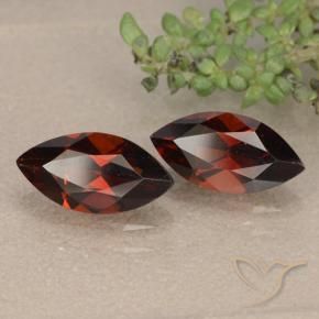 Shop natural 2.56ct 濃いブラッドレッド パイロープガーネット gems, マーキーズ, from モザンビーグ at GemSelect. In stock, global shipping!