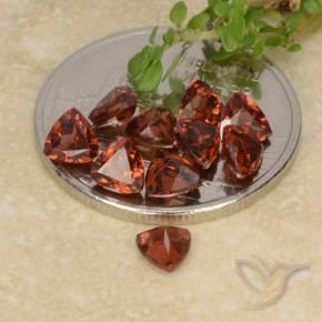 Shop natural 3.18ct ミディアムレッド パイロープガーネット gems, トリリオン, from モザンビーグ at GemSelect. In stock, global shipping!