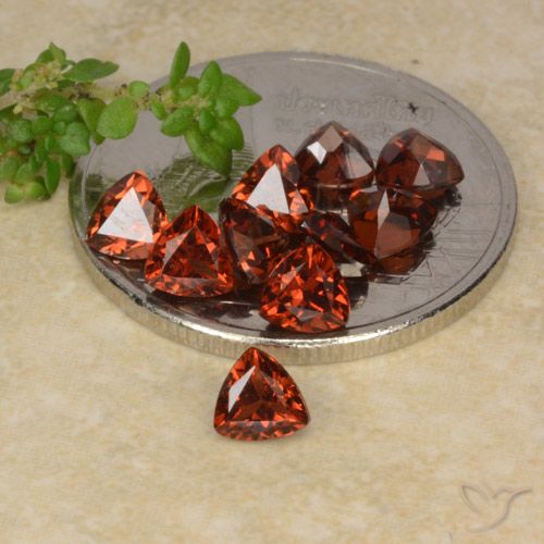 自然派の商品を探す 2.89ct スカーレットレッド パイロープガーネット 宝石, トリリオン, モザンビーグ からGemSelectで. 在庫あり、世界各国へ発送!