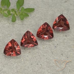 Shop natural 3.25ct ミディアムダークレッド パイロープガーネット gems, トリリオン, from モザンビーグ at GemSelect. In stock, global shipping!