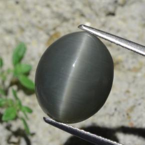 7.96カラットの天然濃い灰色Quartz Cat's Eye（12.9×10.6 mm・オーバルカット）