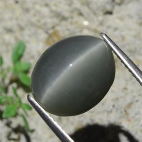 7.96カラットの天然濃い灰色Quartz Cat's Eye（12.9×10.6 mm・オーバルカット）