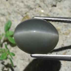 7.96カラットの天然濃い灰色Quartz Cat's Eye（12.9×10.6 mm・オーバルカット）