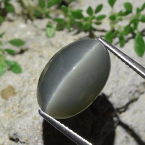 9.07カラットの天然グリーンQuartz Cat's Eye（14.9×10 mm・オーバルカット）