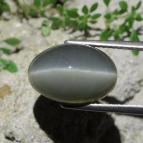 9.07カラットの天然グリーンQuartz Cat's Eye（14.9×10 mm・オーバルカット）