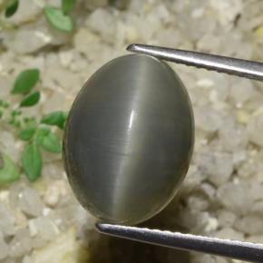 8.08カラットの天然グレーグリーンクォーツキャッツアイ、オーバルカット、半透明