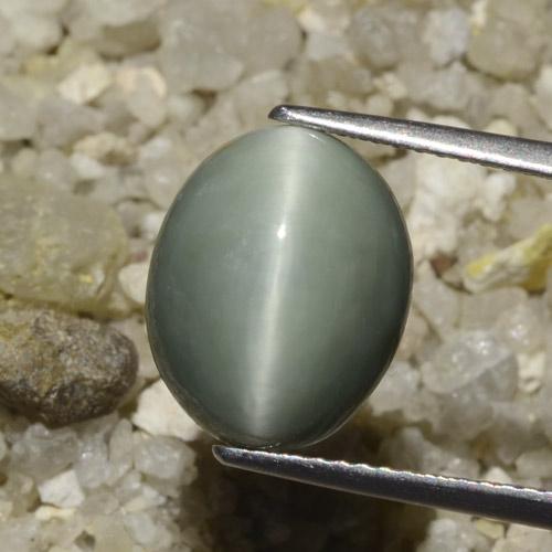 6.06ct 天然 ミディアムグレー クォーツキャッツアイ, 楕円形, オペーク