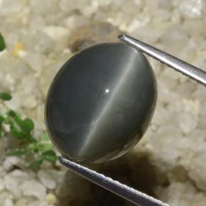 7.89カラットの天然濃い灰色Quartz Cat's Eye（13.1×10.7 mm・オーバルカット）