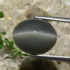 7.89カラットの天然濃い灰色Quartz Cat's Eye（13.1×10.7 mm・オーバルカット）