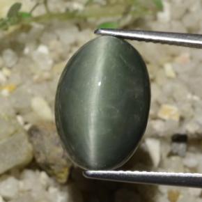 8.78カラットの天然ミディアムグレークォーツキャッツアイ、オーバルカット、オペーク