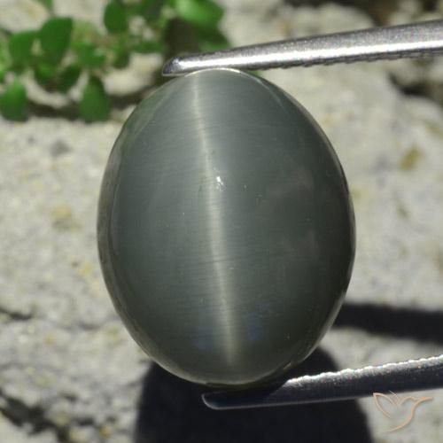 7.28ct 天然 薄い緑がかった灰色 クォーツ キャッツアイ, 楕円形, オペーク