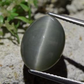 6.12カラットの天然薄い緑がかった灰色クォーツキャッツアイ、オーバルカット、オペーク