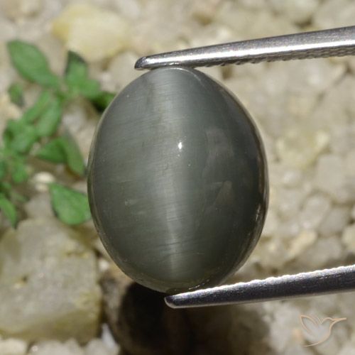 6.65ct 天然 ミディアムグレー クォーツキャッツアイ, 楕円形, オペーク