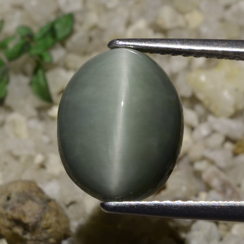 5.82カラットの天然緑がかった灰色クォーツキャッツアイ、オーバルカット、半透明