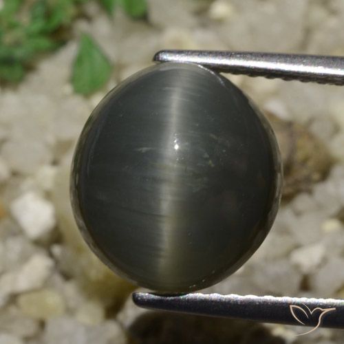 6.05ct 天然 スチールグレー クォーツキャッツアイ, 楕円形, オペーク