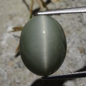 7.21カラットの天然緑がかった灰色クォーツキャッツアイ、オーバルカット、オペーク