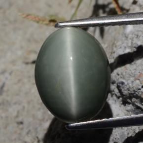 5.29カラットの天然グリーンクォーツキャッツアイ、オーバルカット、オペーク