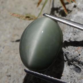 5.29カラットの天然グリーンクォーツキャッツアイ、オーバルカット、オペーク