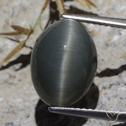6.13カラットの天然スチールグレーQuartz Cat's Eye（12.5×9.4 mm・オーバルカット）