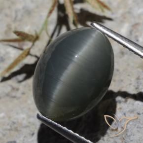 6.13カラットの天然スチールグレーQuartz Cat's Eye（12.5×9.4 mm・オーバルカット）