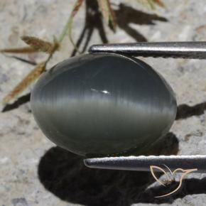 6.13カラットの天然スチールグレーQuartz Cat's Eye（12.5×9.4 mm・オーバルカット）
