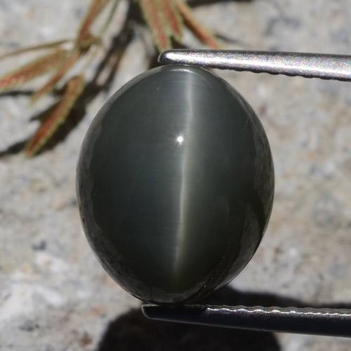 7.26カラットの天然濃い灰色クォーツキャッツアイ、オーバルカット、オペーク