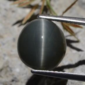 5.62カラットの天然グリーンクォーツキャッツアイ、オーバルカット、オペーク