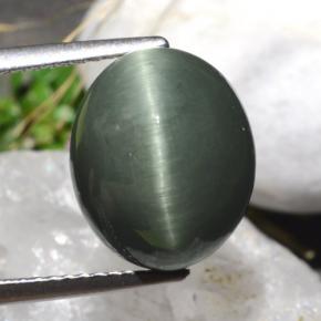 7.61カラットの天然グリーンクォーツキャッツアイ、オーバルカット、オペーク