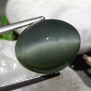 9.50カラットの天然ミディアムグレークォーツキャッツアイ、オーバルカット、オペーク