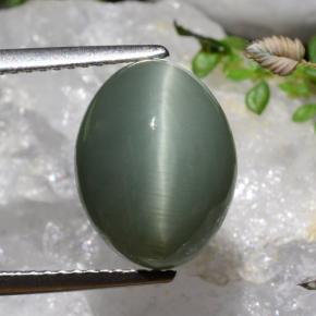 7.17カラットの天然ミディアムディープグリーンクォーツキャッツアイ、オーバルカット、オペーク