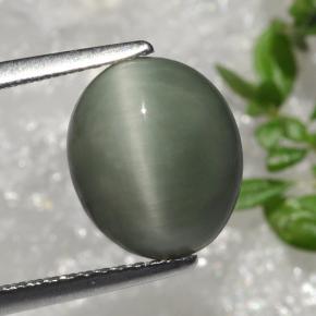 3.66カラットの天然グリーンクォーツキャッツアイ、オーバルカット、オペーク