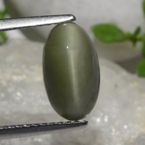2.64カラットの天然グリーンクォーツキャッツアイ、オーバルカット、オペーク