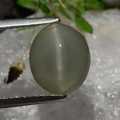 2.99カラットの天然灰色がかった黒Quartz Cat's Eye（9.8×8.3 mm・オーバルカット）