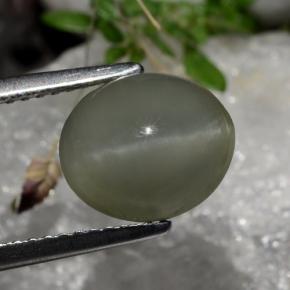 2.99カラットの天然灰色がかった黒Quartz Cat's Eye（9.8×8.3 mm・オーバルカット）