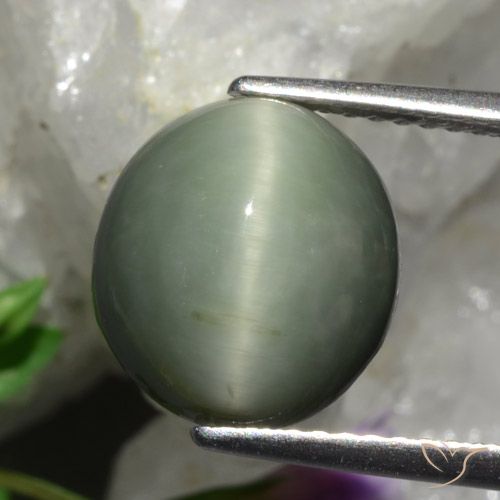 5.48ct 天然 ミディアムグレー クォーツキャッツアイ, 楕円形, オペーク