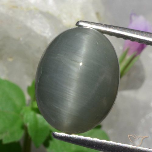 4.89ct 天然 ミディアムグレー クォーツキャッツアイ, 楕円形, オペーク