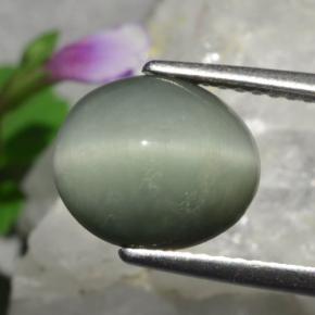 3.01カラットの天然ミディアムグレーQuartz Cat's Eye（10.3×8.8 mm・オーバルカット）