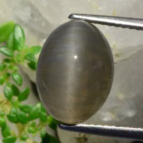 5.37カラットの天然ピーナッツブラウンQuartz Cat's Eye（12.3×9.2 mm・オーバルカット）