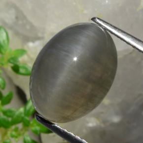 5.37カラットの天然ピーナッツブラウンQuartz Cat's Eye（12.3×9.2 mm・オーバルカット）