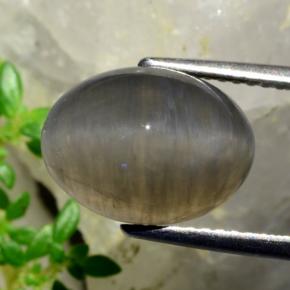 5.37カラットの天然ピーナッツブラウンQuartz Cat's Eye（12.3×9.2 mm・オーバルカット）