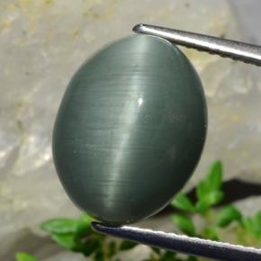 8.20カラットの天然グリーンクォーツキャッツアイ、オーバルカット、オペーク