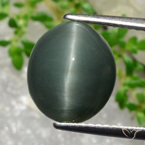 5.66カラットの天然緑がかった灰色クォーツキャッツアイ、オーバルカット、オペーク