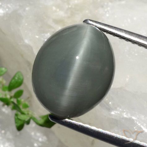 6.17カラットの天然緑がかった灰色クォーツキャッツアイ、オーバルカット、オペーク